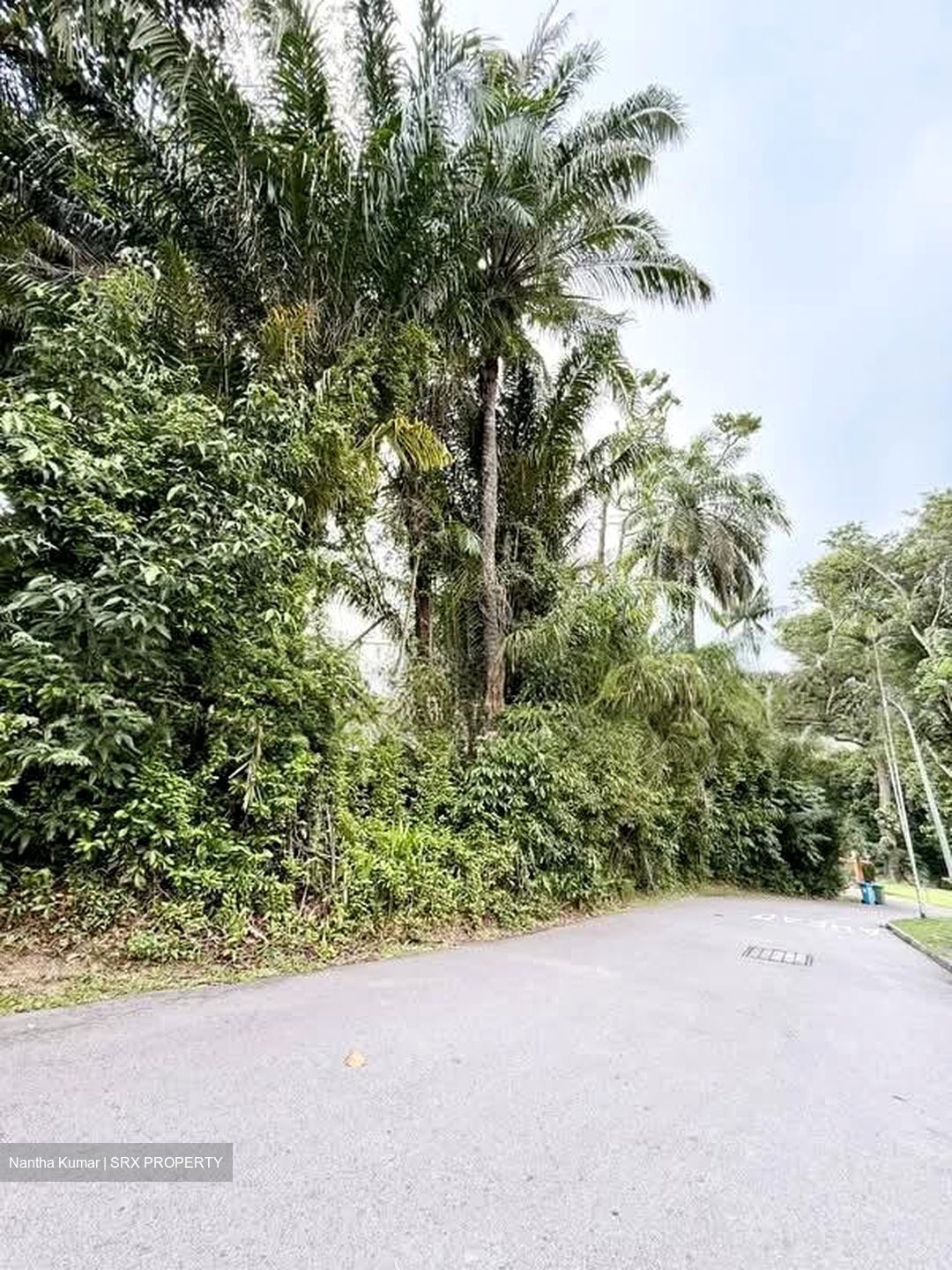 Cluny Park (D10), Detached #568064481